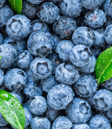 A collection of coffee beans is elegantly arranged on a white plate, highlighting their earthy tones and enticing fragrance, representing the products of Southlander, Wholesale Flowers Near Me and Bulk Organic Food Produce Distributors.