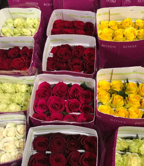 Four transparent bottles brimming with a variety of foods, such as quinoa, chia seeds, and dried fruits, representing the products of Southlander, Wholesale Flowers Near Me and Bulk Organic Food Produce Distributors.