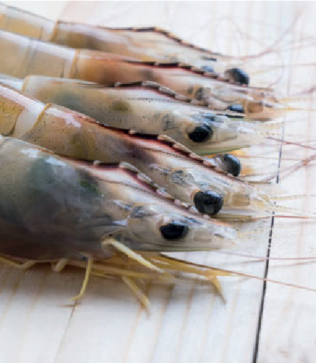 Fresh shrimp neatly arranged on a rustic wooden surface, representing the products of Southlander, Wholesale Flowers Near Me and Bulk Organic Food Produce Distributors.