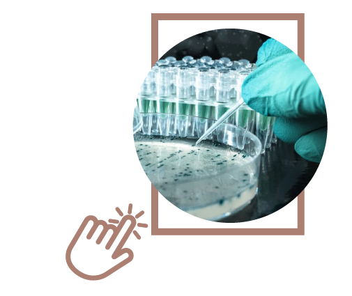 A hand delicately reaches out to touch the soft, pink petals of a blooming rose, capturing a moment of serene connection, Wholesale Flowers Near Me and Bulk Organic Food Produce Distributors.